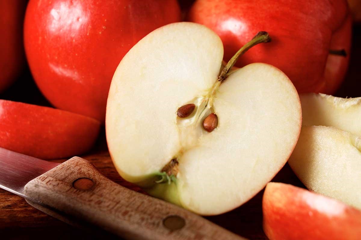 Propagate Apple Bushes