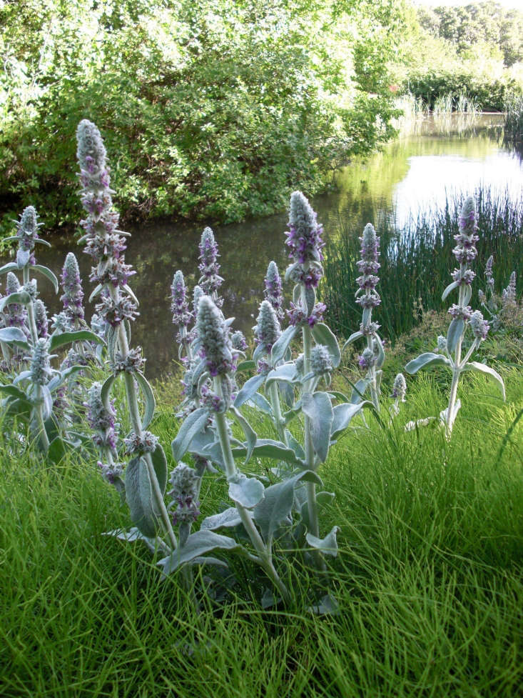 Photograph by Andrey Zharkikh via Flickr.