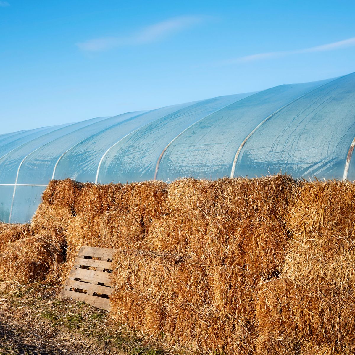 How To Construct A Sustainable Straw Bale Greenhouse
