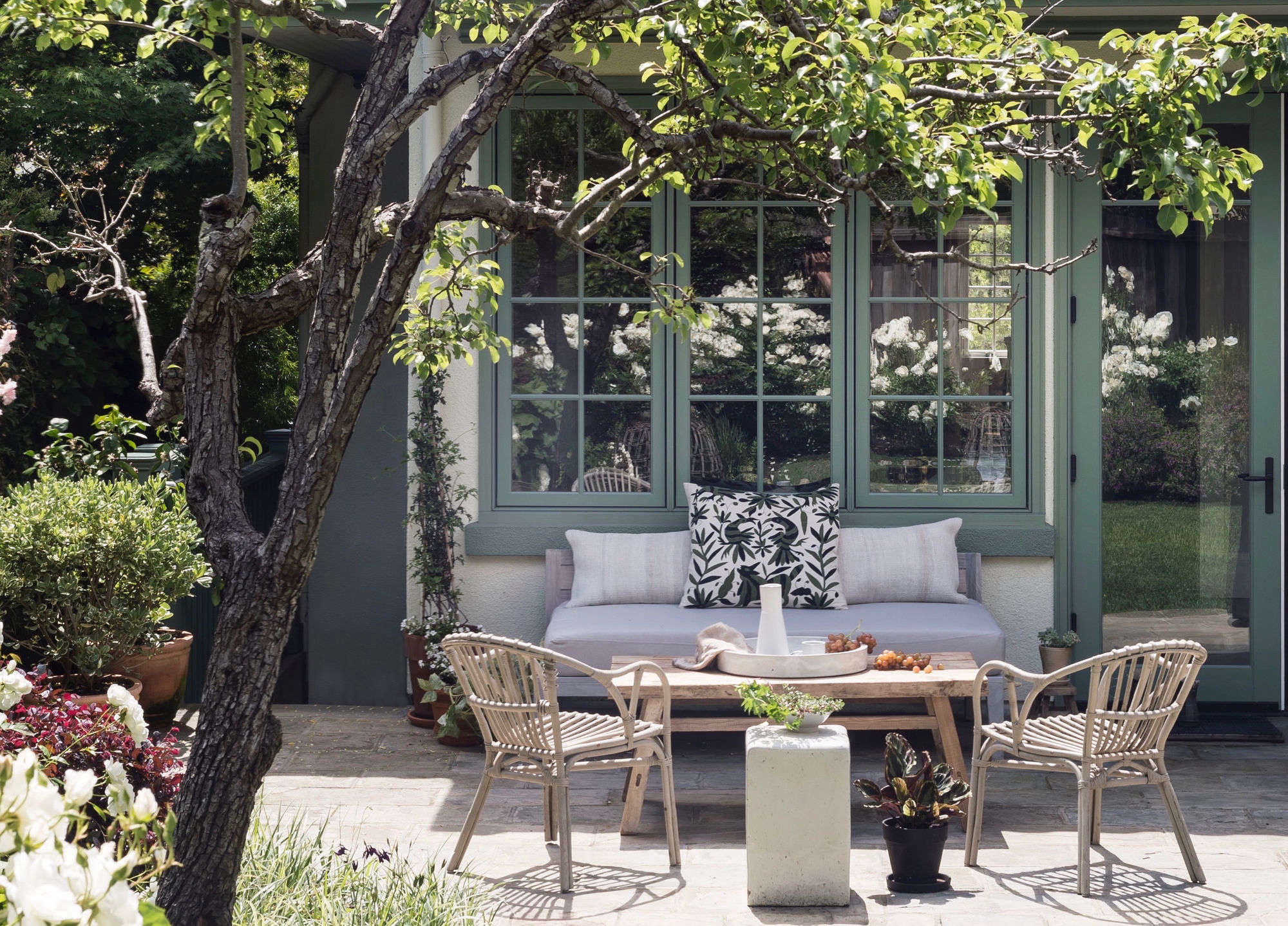 Landscaping on a Finances: 10 Methods I Saved Cash on My Backyard Rework