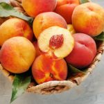 6 Fruit Seeds You Ought to Save And Plant To Develop A New Tree