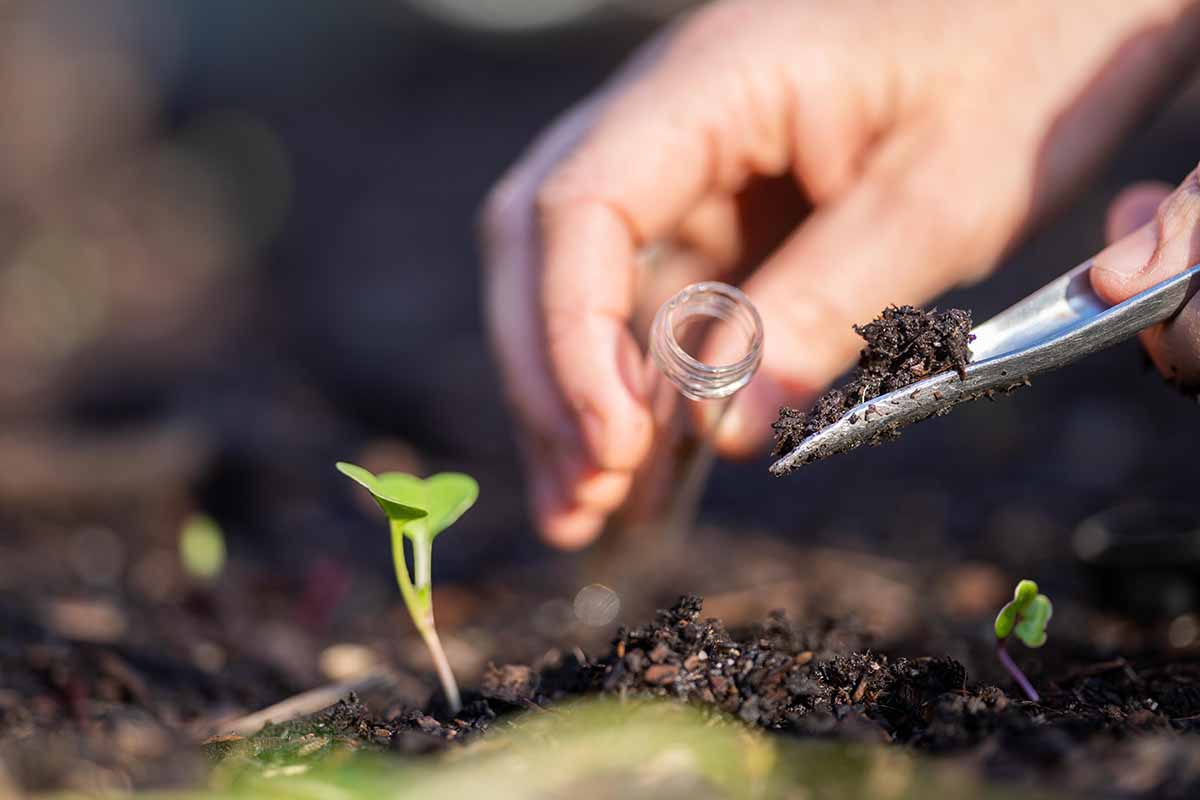 A close up horizontal image of a hand from the top of the frame collecting a sample of the earth into a small glass tube for testing.