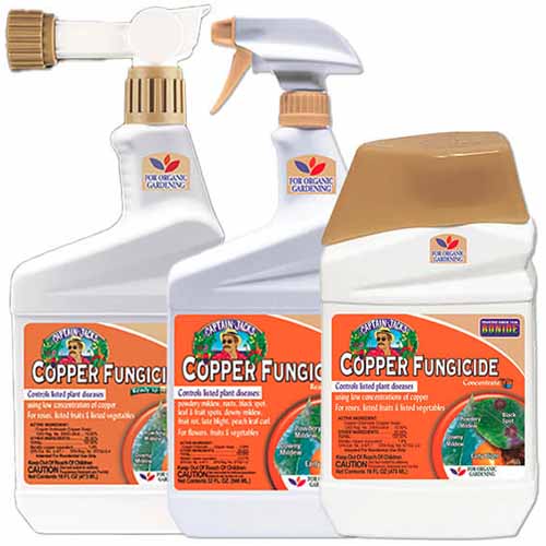 A close up of three different sized bottles of Bonide Copper Fungicide isolated on a white background.