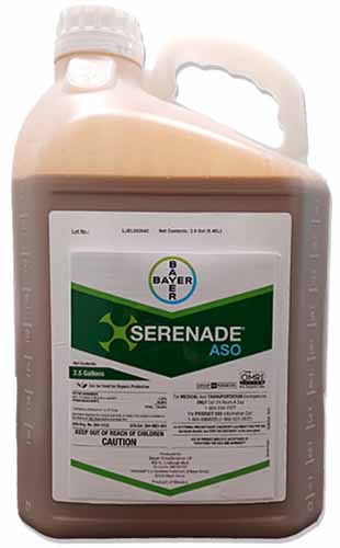 A close up of the packaging of Serenade ASO isolated on a white background.