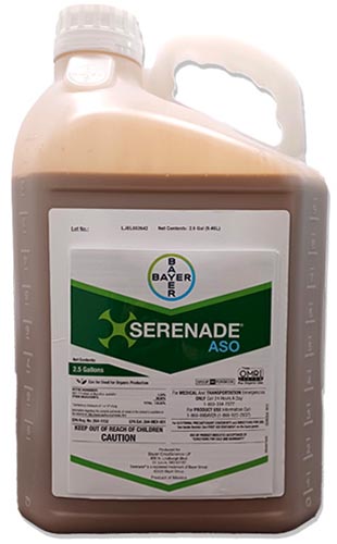 A close up of a bottle of Serenade ASO isolated on a white background.