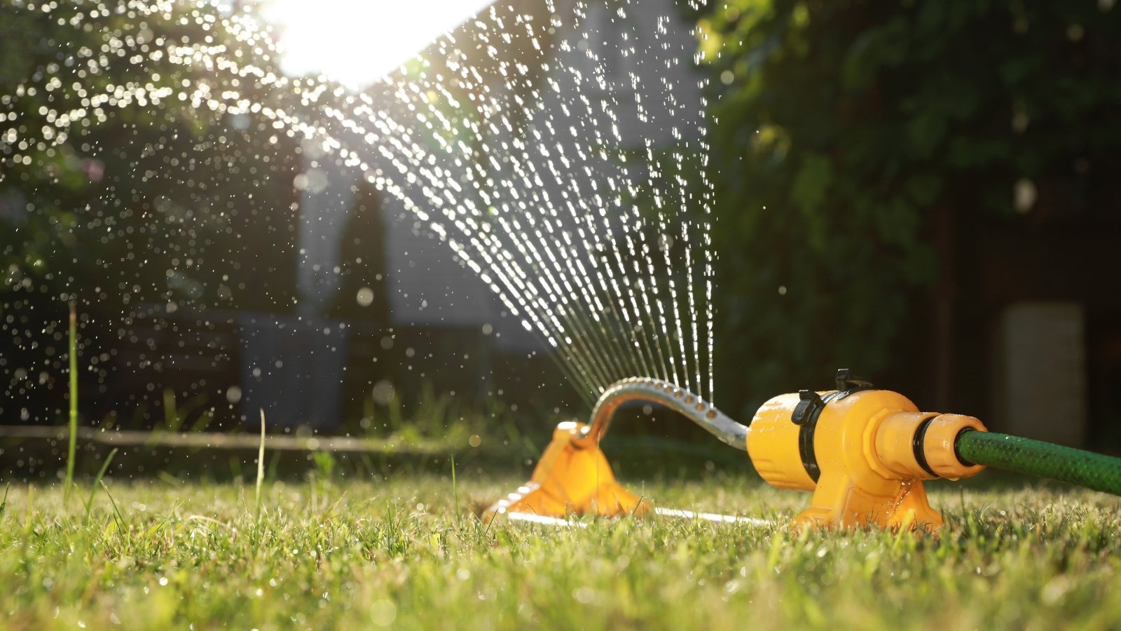Water sprays in graceful arcs from a yellow sprinkler, its rhythmic motion watering a green yard under the warm sun.