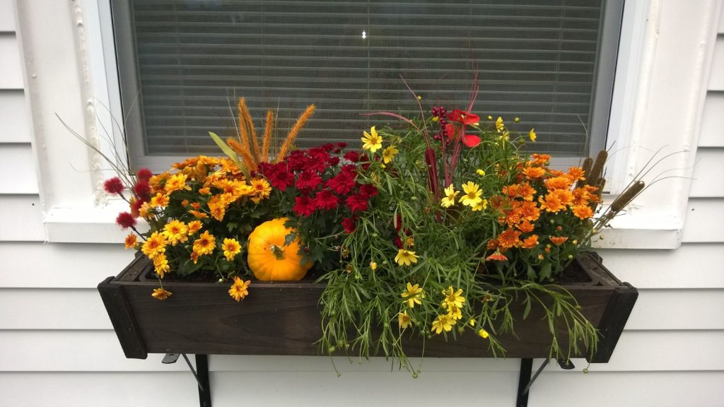 Methods to Plant The Excellent Fall Container Backyard