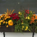 Methods to Plant The Excellent Fall Container Backyard