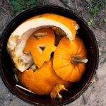 Easy methods to Compost Your Halloween Pumpkins
