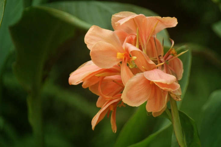 Photograph by Hafiz Issadeen via Flickr.