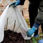 The way to Defend Your Backyard From Early Frosts