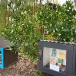 Pattern Alert: Little Free Artwork Galleries for Your Entrance Yard