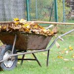Depart It or Clear It? A Information to Cleansing Up The Fall Backyard