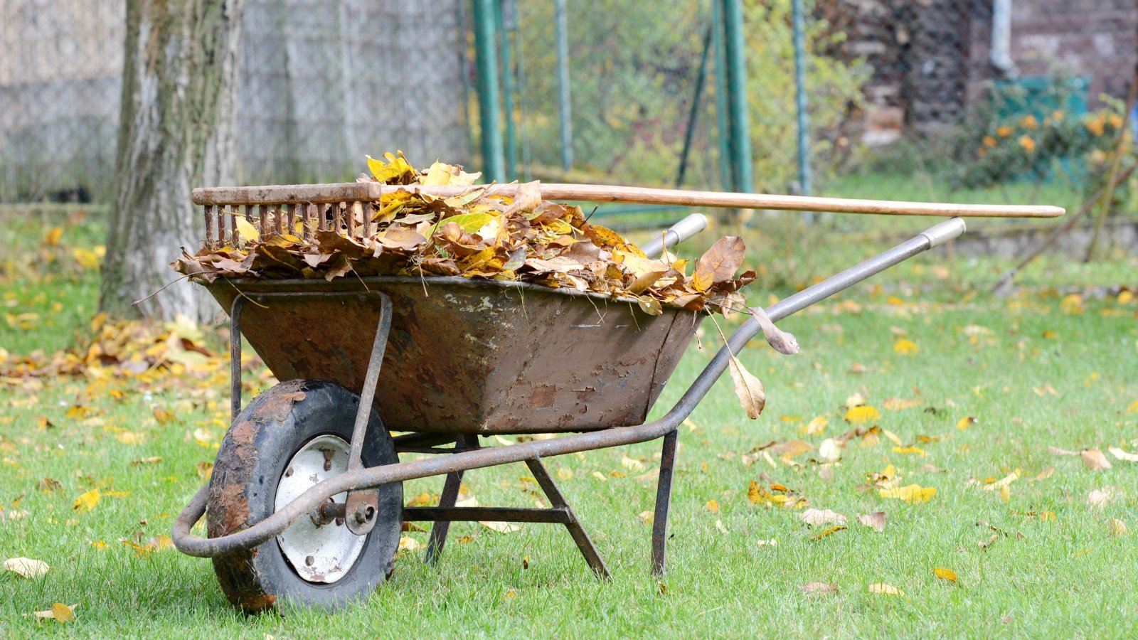 Depart It or Clear It? A Information to Cleansing Up The Fall Backyard